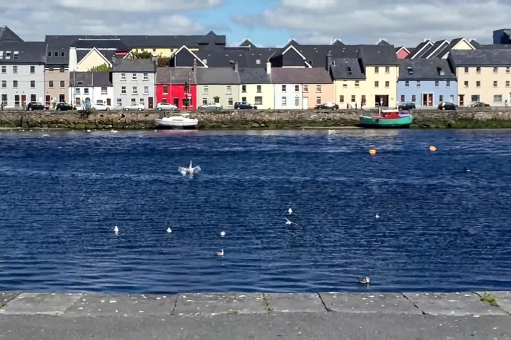 Dominick Street Apartments Galway Ngoại thất bức ảnh